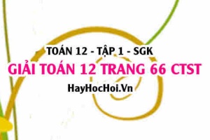 Giải Toán 12 trang 66 tập 1 Chân trời sáng tạo